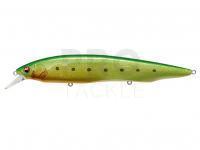 Hard Lure Megabass Kanata Ayu SW 160mm 30g - GLX GREEN BACK CHART