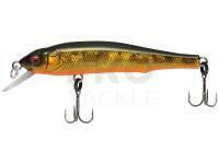 Hard Lure Megabass X-70 SP 71mm 5.6g GG Megabass Kinkuro