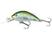 Hard lure Mikado Fishunter Cavalier 40mm 3.6g - Olive Bleak
