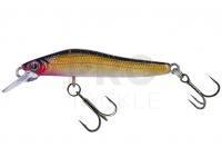 Hard Lure Molix Jubarino 5cm 2.5g | 2 inch 3/32 oz - 513 Honey Shad