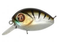 Hard Lure Pontoon21 Baby Red Rag 32F SR | 32mm 4.8g - 107 Crash HG Perch