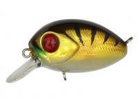 Hard Lure Pontoon21 Baby Red Rag 32F SR | 32mm 4.8g - 307 Crash HG Gold Perch