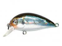 Hard Lure Pontoon21 Hypnose 38F SR | 38mm 3.7g - 005 Crash HG Wakasagi