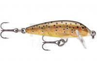 Lure Rapala CountDown 3cm - Brown Trout