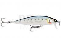 Hard Lure Rapala CountDown Elite 9.5cm 14g - Gilded Maiwashi (GDMI)