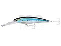 Hard Lure Rapala X-Rap Magnum 20 | 14cm 46g - HD Blue Sardine (HDBSRD)