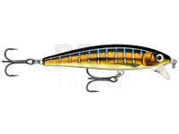 Lure Rapala X-Rap Magnum Cast 10cm 42g - HDSFU HD Sailfish UV