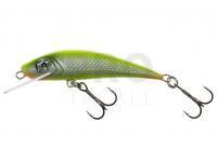 Hard Lure River Custom Baits Fury 7 cm 6g - T030