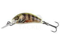 Hard lure Salmo Hornet 2.5cm 2.4g S - Real Identity Perch
