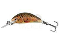 Hard lure Salmo Hornet 2.5cm 2.4g S - Trout