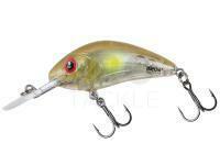 Hard lure Salmo Hornet Rattlin 6.5cm 20g F - Clear Ayu