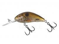 Lure Salmo Hornet Rattlin H3.5 - Pearl Shad Clear