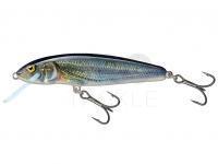 Hard Lure Salmo Minnow Floating 5 | 5cm 3g | 2" 1/16oz - Spirlin