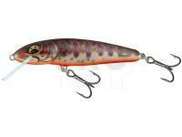 Hard Lure Salmo Minnow Floating 7 | 7cm 6g | 2 3/4" 3/16oz - Fresh Water Minnow