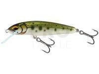 Hard Lure Salmo Minnow Floating 7 | 7cm 6g | 2 3/4" 3/16oz - Yasame Ayu