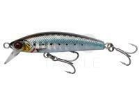 Sea lure Savage Gear Gravity Minnow 6cm 12g Fast Sinking - Sardine Photo Print