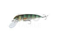 Hard lure Savage Gear Sucker Flanker 20cm 58g - Perch Glitter