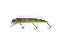 Hard lure Savage Gear Sucker Flanker 25cm 107g - Black Perch