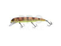 Hard lure Savage Gear Sucker Flanker 25cm 107g - Orange Tiger Glitter