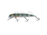 Hard lure Savage Gear Sucker Flanker 25cm 107g - Perch Glitter