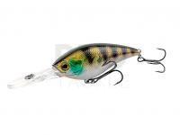 Crankbait Shimano Yasei Cover Crank F MR 70mm 17g 2m-4m - Perch