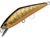 Hard Lure Smith D-Contact 50mm 4.5g - 23 G Yamame