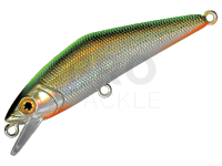 Hard Lure Smith D-Contact 50mm 4.5g - 46 CH back TS laser