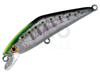Hard Lure Smith D-Contact 63mm 7g - 53 Black Gin Chart Yamame