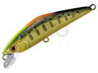 Hard Lure Smith D-Contact 72mm 9.5g - 52 CG Indicator