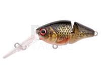 Hard Lure Spro IKIRU Double Crank 35F | 3.5 cm 3.4 g - Roach