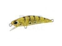 DUO Hard Lure Tetra Works TOTO 42S | 42mm 2.8g | 1-5/8in 1/10oz - CCC0312 Gold Shrimp