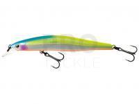 Hard Lure Tiemco Sumari 95F | 95mm 8g - 220
