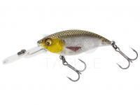 Hard Lure Westin BuzzBite Crankbait 4cm 4g - Gold Headlight Limited