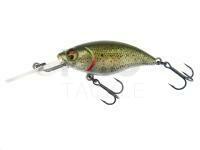 Hard Lure Westin BuzzBite Crankbait 6cm 10g Suspending - Lake Roach