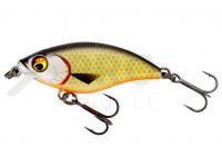 Hard Lure Westin BuzzBite SR Crankbait 4cm 4g Low Floating - Official Roach