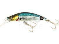 Hard lure Westin Rushbait 10cm 52g - Saddled Bream