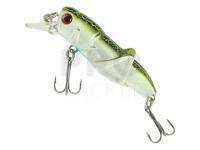 Jaxon Atract Hooper XHJ