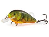 Salmo Hard lures Butcher