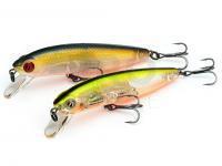 Pontoon21 Hard Lures Dexter Minnow