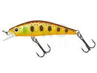 Gunki Hard Lures Gamera 54 SHW