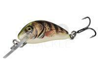 Salmo Hornet 2,5 cm