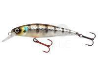 SPRO Hard Lures IKIRU Silent Jerk SLS 65 and 95