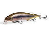 Megabass ITO Shiner SSR