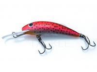 Gloog Kalipso SR and SDR lure