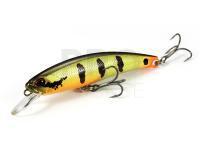 DUO Hard Lures Realis Fangbait 100SR