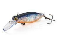 Jackson Japanese fishing lures