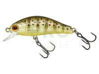 Gunki Rodan 40SHW