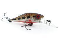 Adam's Hard Lures Shad 34 F MR