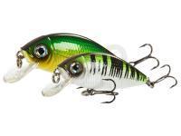 Lucky John Hard Lures Shad Craft