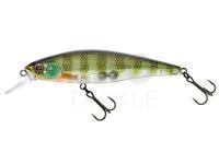 Illex Squad Minnow Lures